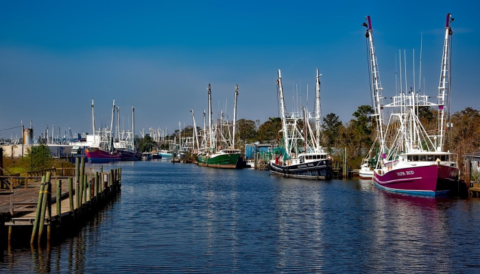 警方:北卡罗莱纳州的一名少年枪杀了他的哥哥 警方:北卡罗莱纳州的一名少年枪杀了他的哥哥