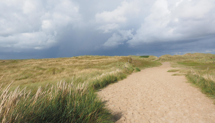 最新教你“多乐跑得快开挂方法”开挂(透视)辅助教程 最新教你“多乐跑得快开挂方法”开挂(透视)辅助教程