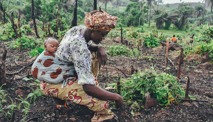 辅助神器“微乐湖南麻将怎么开免费的挂”其实确实有挂 辅助神器“微乐湖南麻将怎么开免费的挂”其实确实有挂