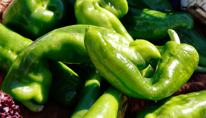 速查：进口水果罐头是否被艾滋病患者的血液污染？