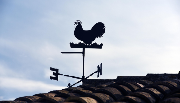 观点|《动物》与新宝莱坞大电影时代 观点|《动物》与新宝莱坞大电影时代