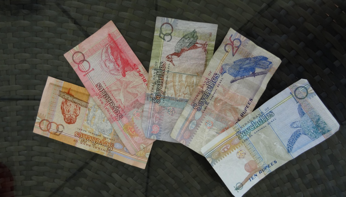 电力金融公司将通过公开发行非传染性债券筹集至多500亿卢比