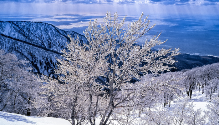 德里录得6年来最热的12月,增加了对寒潮到来的预期 德里录得6年来最热的12月,增加了对寒潮到来的预期