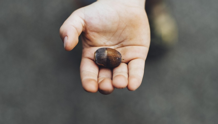 研究人员发现锌在炎症性肠病和“肠漏症”中起着关键作用