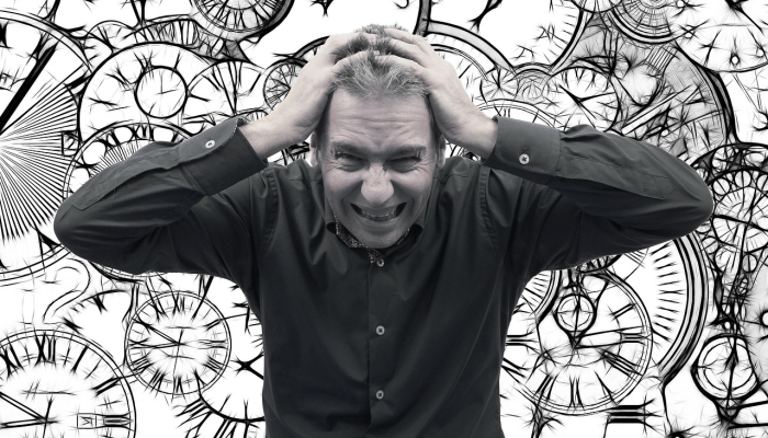 阿卜杜勒·阿齐兹再次被任命为Mais董事长