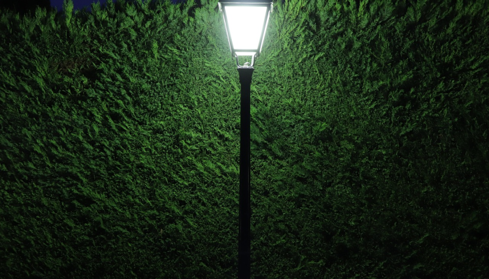 玩家辅助神器：“星悦麻将怎么打才能赢”详细开挂玩法