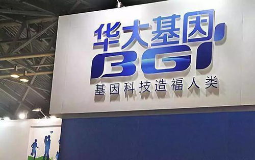 领先，创新的力量！