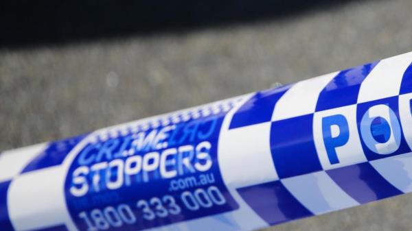 开挂辅助工具“卡农大厅有挂吗”(原来确实是有挂)