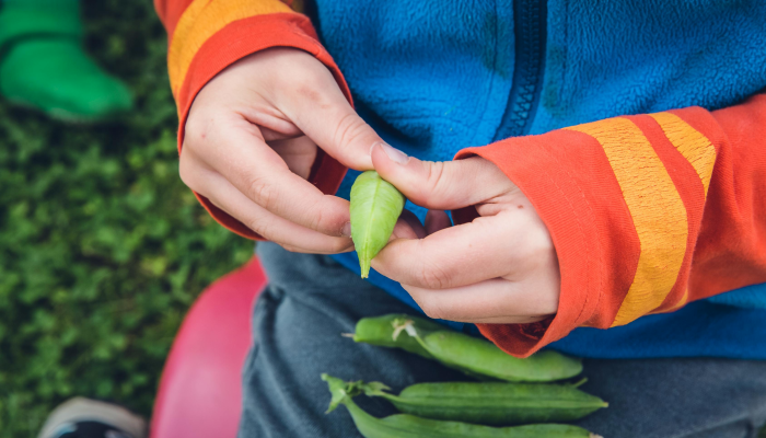 最新教你“闲来玩十三水输了很多钱”其实确实有挂