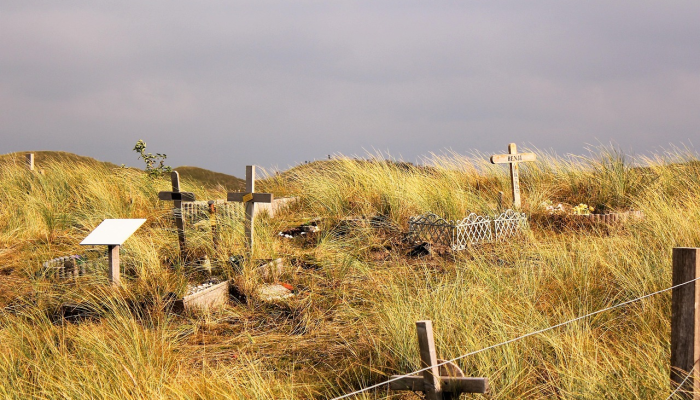 龙卷风毫无征兆地袭击了密歇根州，造成一名幼童死亡