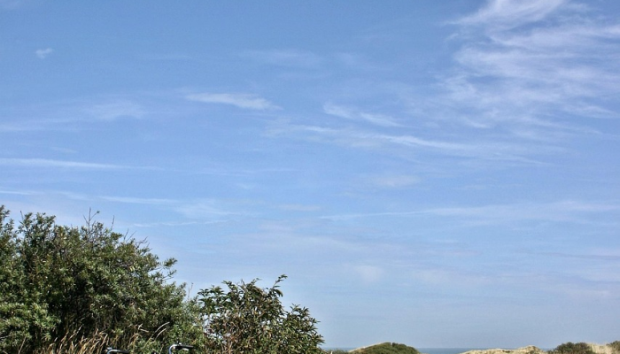 黑海地区非法建筑“威胁自然”