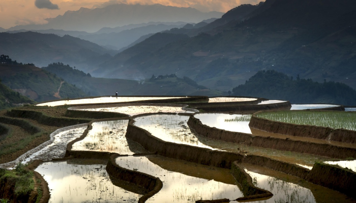 贸易部长会见加拿大商务代表团