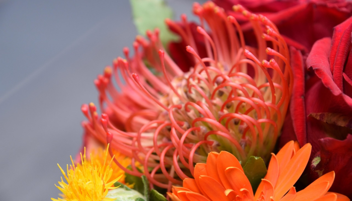 辅助神器“卡农大厅可以开挂吗”(曝光透视必备猫腻)