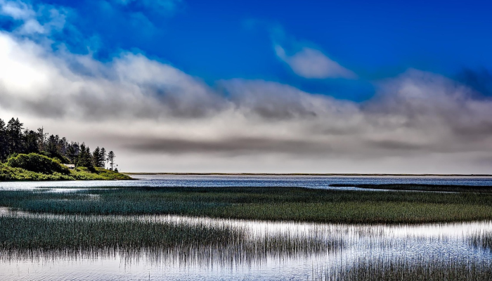 垂钓者的“圣杯”捕获可能创造新的世界纪录看看这条德州巨鱼 垂钓者的“圣杯”捕获可能创造新的世界纪录看看这条德州巨鱼