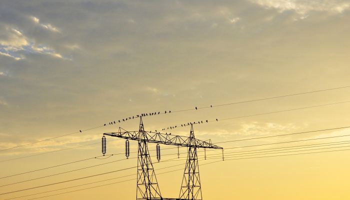 星期六上午的活动：机场空中演示