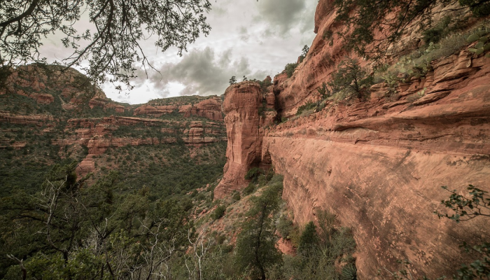 玩家辅助神器：“新长虹大厅有挂吗”分享用挂教程