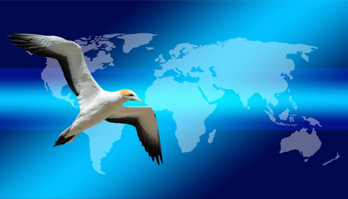 玩家辅助神器：“新长虹大厅有挂吗”分享用挂教程