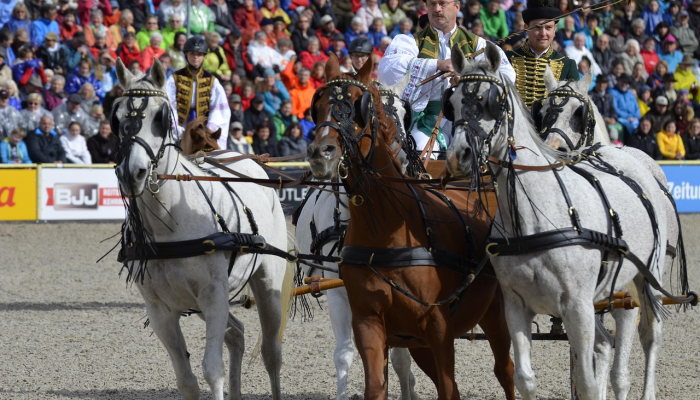 阿塞拜疆领导人在卡拉巴赫首都升起国旗 阿塞拜疆领导人在卡拉巴赫首都升起国旗