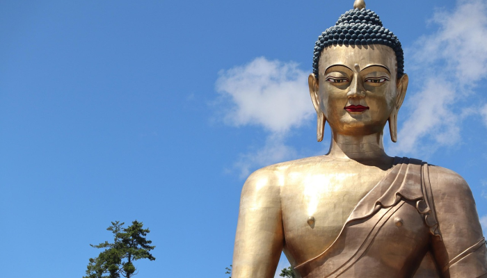 欧盟立法者投票削减杀虫剂的使用