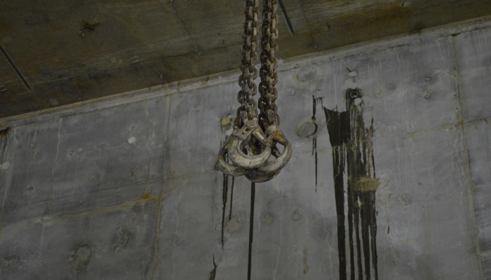 1分钟学会“青鸟大厅拼三张有没有挂”(原来确实是有挂)