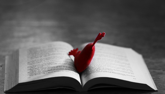 邓多克小贴士：品牌可以对抗裁员和不利的吸引力