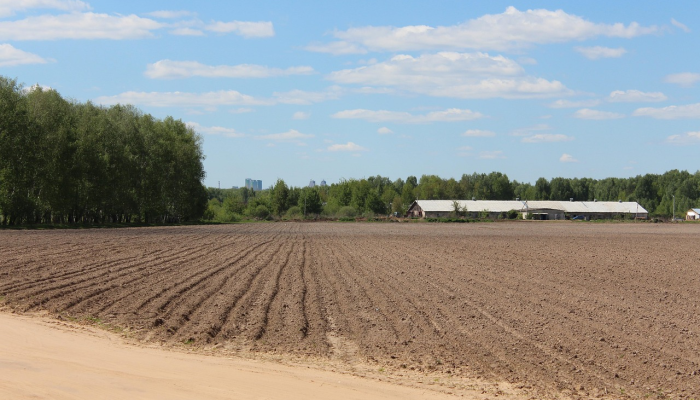 位于班顿(Bandon)附近占地91英亩的农场已经有人出价170多万欧元 位于班顿(Bandon)附近占地91英亩的农场已经有人出价170多万欧元