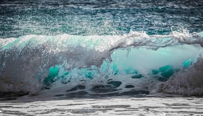 1分钟学会“熟人牛牛可以装挂吗”(原来确实是有挂)