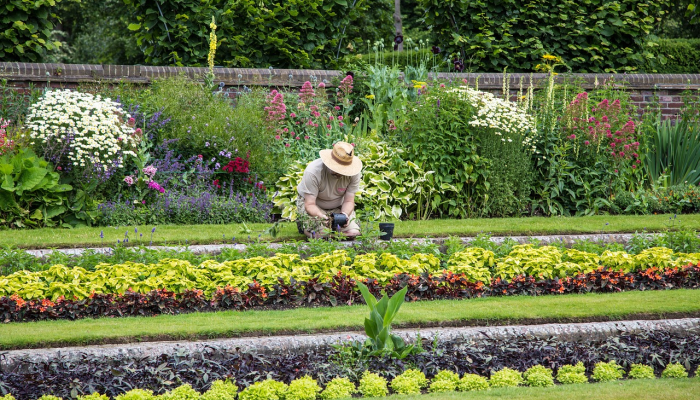 邻居承认砍倒了一名女子私家花园的树，让她勃然大怒