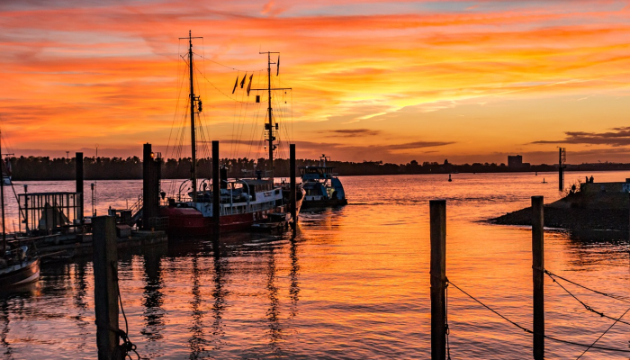 老多哈港结束了捕鱼比赛 老多哈港结束了捕鱼比赛