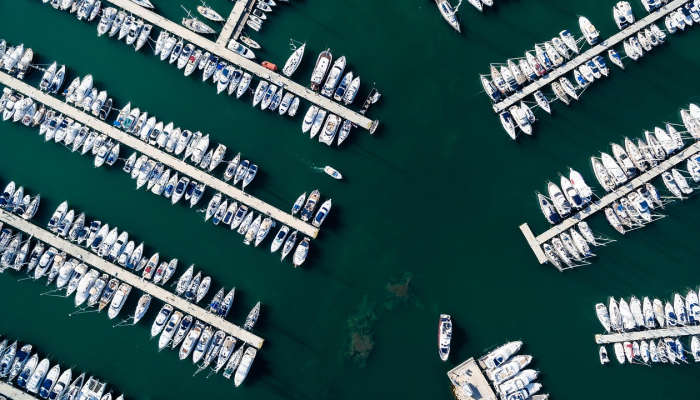 Aryansh Sharma站在英雄Tim Southee面前,阿联酋队与新西兰队的IPL明星队战斗 Aryansh Sharma站在英雄Tim Southee面前,阿联酋队与新西兰队的IPL明星队战斗