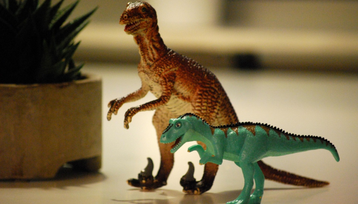 一瞥灭绝：科学家们发现了恐龙时代末期的非凡化石