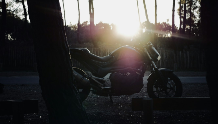照片显示,被暴风雨吓坏的马被困在池塘里然后NC的救援人员出现了 照片显示,被暴风雨吓坏的马被困在池塘里然后NC的救援人员出现了
