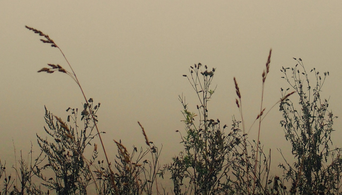 推荐一款”蜜瓜大厅可以开挂吗!分享用挂教程 推荐一款”蜜瓜大厅可以开挂吗!分享用挂教程