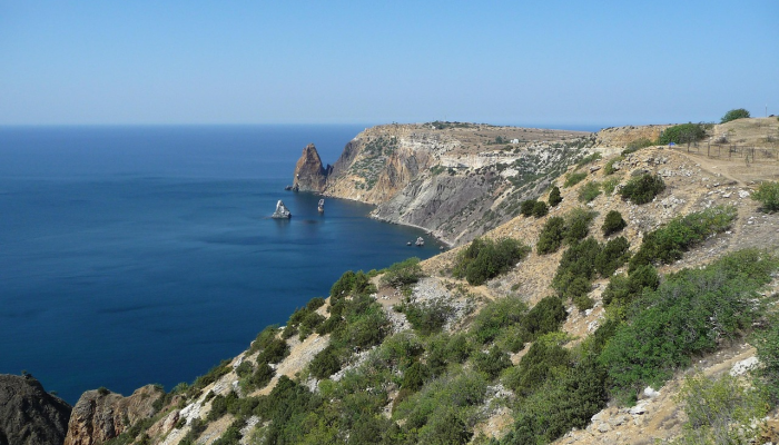 自乌克兰战争开始以来，黑海已有700多只海豚死亡