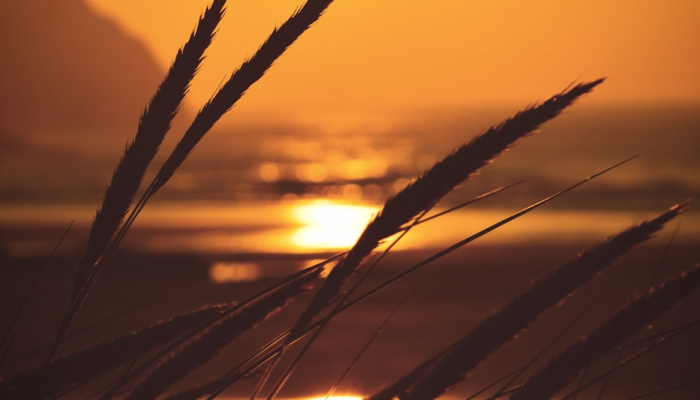 随着雪、冰和冻雨的临近，美国东部和新英格兰地区的居民都在躲避