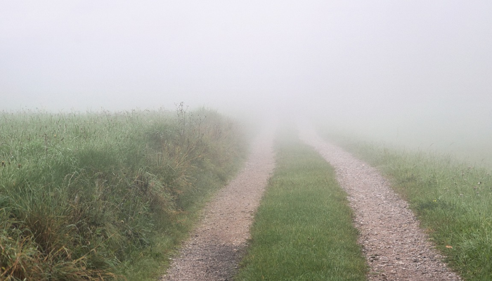 经济动态，中期选举以及推特的未来｜ Hot off the Wire播客