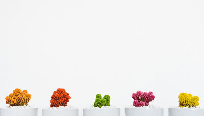 网上购买奢侈品已经不再流行