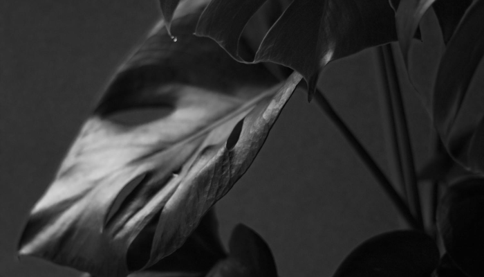 苏纳克的托利党惨败,但他没有在补选中粉饰自己 苏纳克的托利党惨败,但他没有在补选中粉饰自己