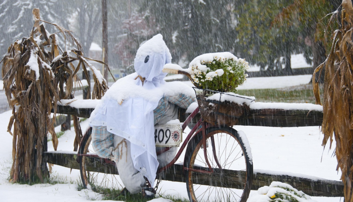斯利那加创下季节最冷的夜晚,最低温度达到零下4.6摄氏度 斯利那加创下季节最冷的夜晚,最低温度达到零下4.6摄氏度
