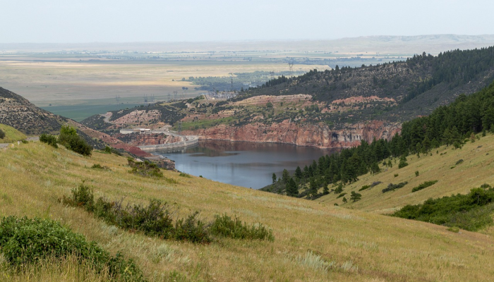 最新教你“菜鸟黑桃a3怎么开挂视频”分享用挂教程