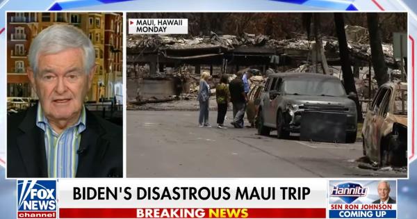 纽特·金里奇(Newt Gingrich)因对可怕的总统特质的“妄想”咆哮而被烧焦