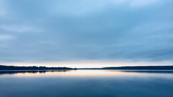 在加拿大，划船的人看到了罕见的濒危“温柔巨人”“最神奇的事情”