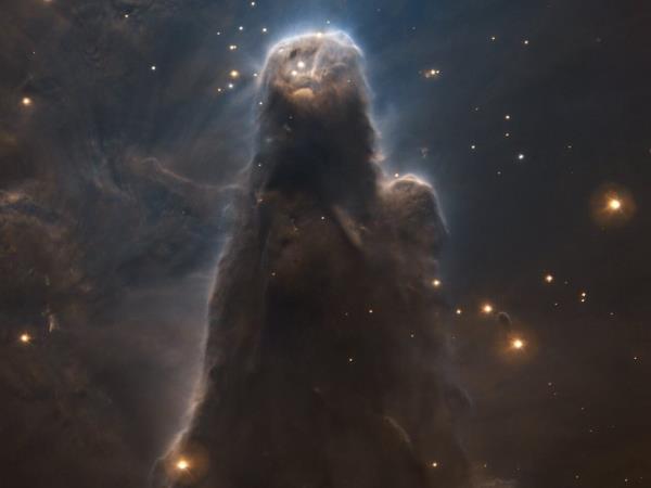 来自地球上最大的望远镜之一的新图像以惊人的细节展示了一个“恒星工厂”星云