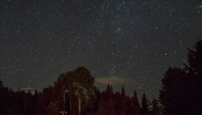 来自地球上最大的望远镜之一的新图像以惊人的细节展示了一个“恒星工厂”星云