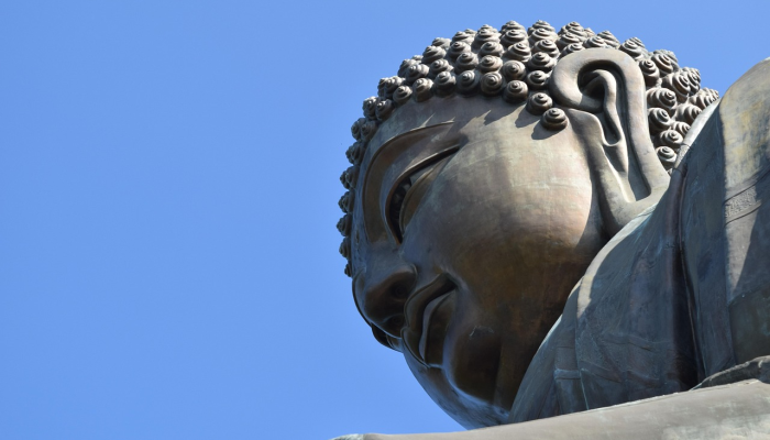 狮子在最后的出价中突破了佩恩的障碍