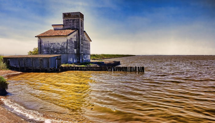 教程辅助!“白金岛跑得快开挂神器”(曝光透视必备猫腻)