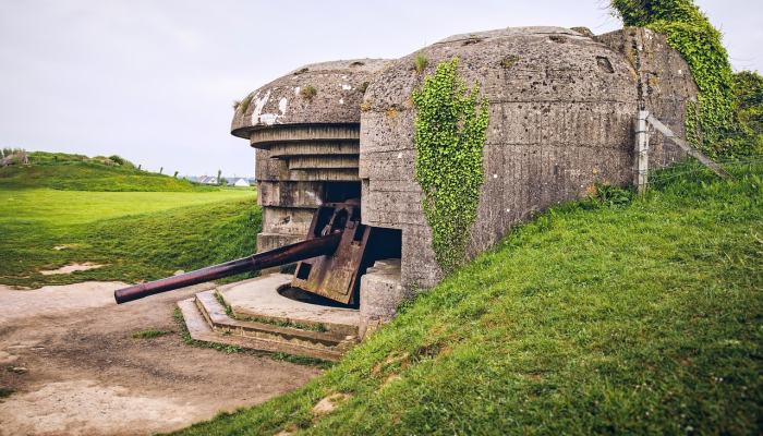 联合国报告称,海地帮派战争在主要农田造成“灾难性” 联合国报告称,海地帮派战争在主要农田造成“灾难性”