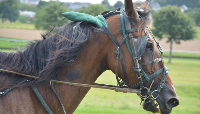 辅助神器“先锋大厅透视开挂”其实确实有挂