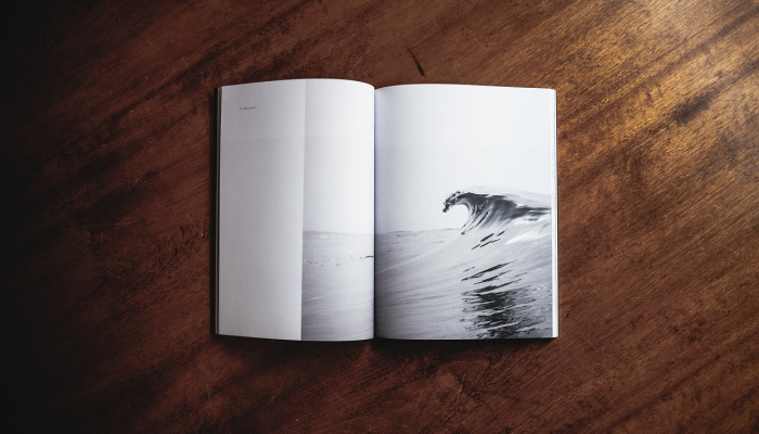 生活在另一片土地上是一种礼物和教育