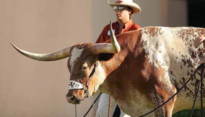 德州游骑兵队赢得有史以来第一个世界大赛冠军 德州游骑兵队赢得有史以来第一个世界大赛冠军